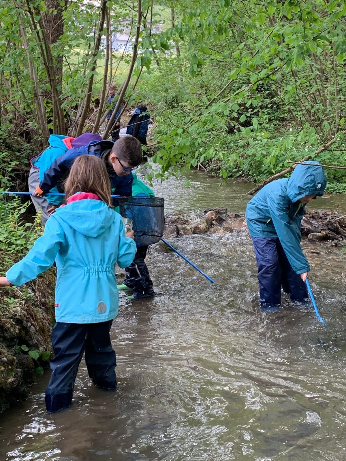 Kinder fischen mit Netzen im Bach