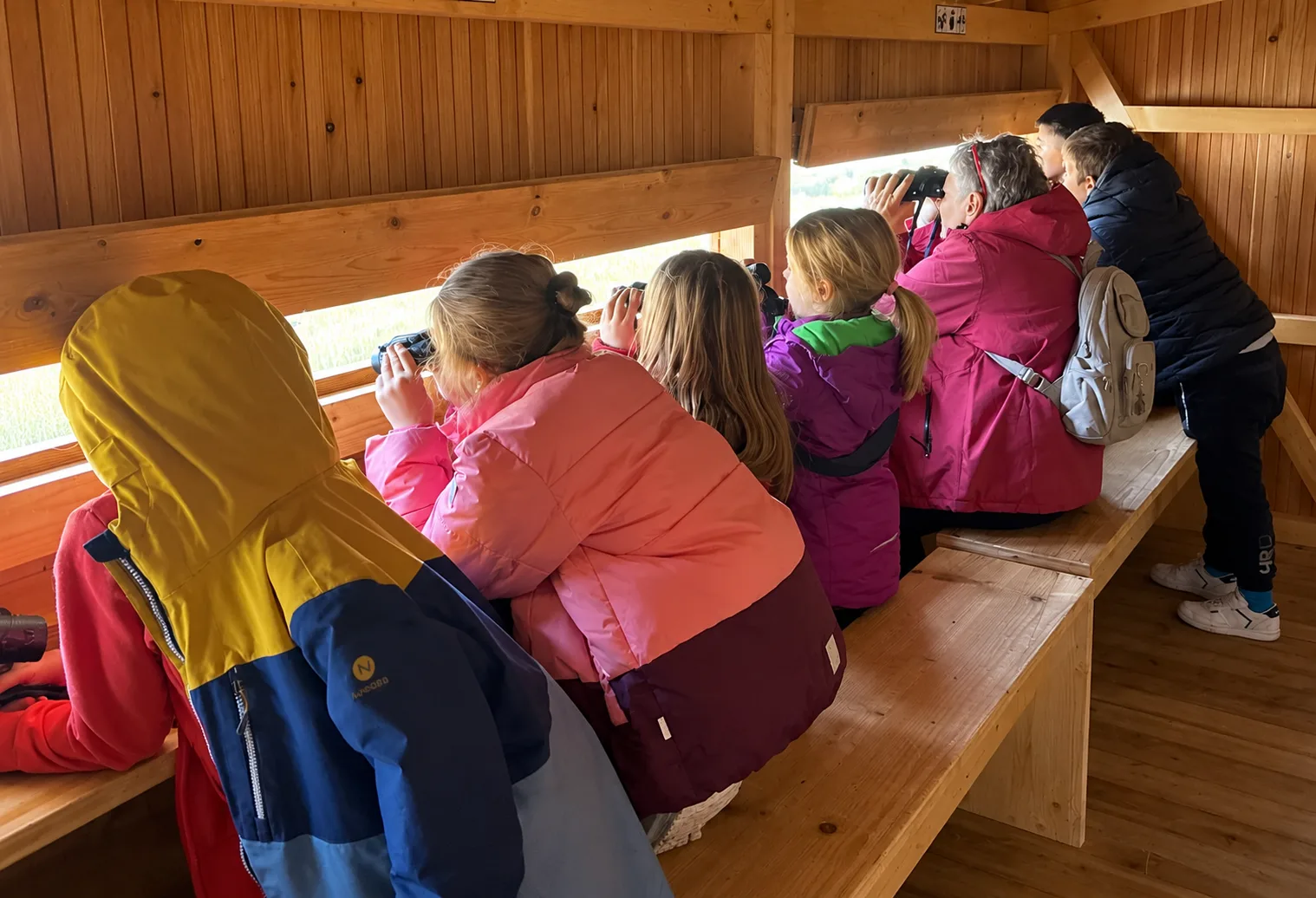 Mehrere Kinder schauen mit Feldstechern aus einem Holzhaus heraus.